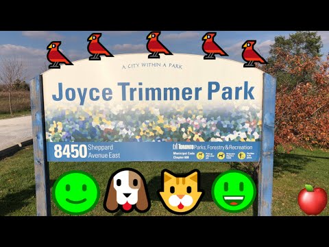 Joyce Trimmer Park In 4K@60FPS With Apple iPhone 8 Plus In November 2021