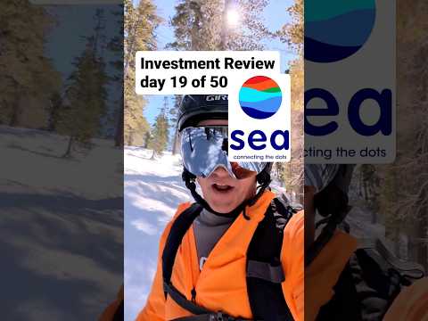 Investment Review day 19 of 50: Sea Limited $SE