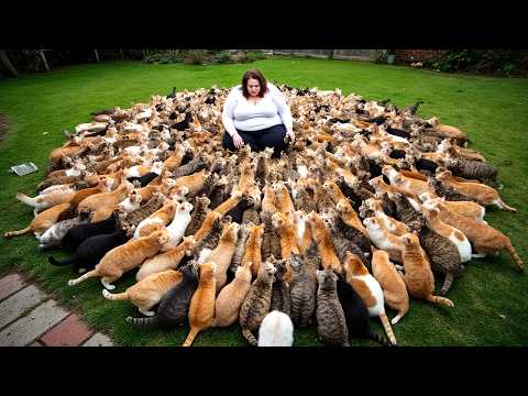 1100 Cats Live With This Woman & It’s Insane