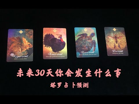 塔罗占卜｜接下来30天你会发生什么事？Timeless无时间限制