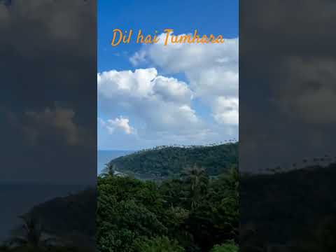 Dil hai tumhara #hindisong #viralvideo #shortvideo #nature