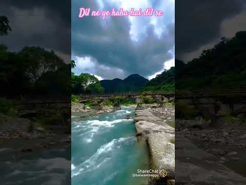 Dil ne ye kaha hai dil se #viralvideo #nature #shortvideo #viralvideo #natureworld #naturelive