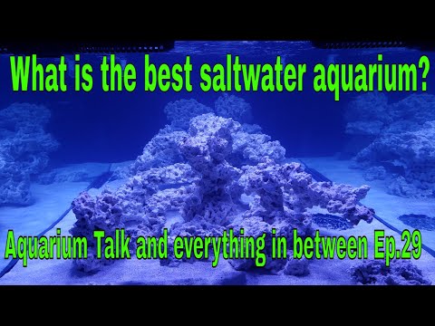 What is the best saltwater aquarium?