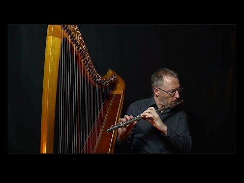 Harp Live Stream #16