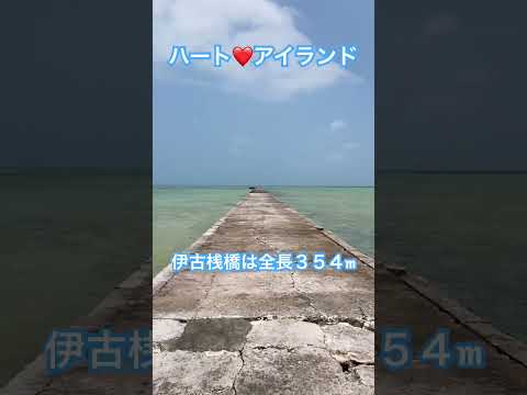 沖縄に来たらオススメスポット！石垣島から３０分の離島！#shorts #沖縄 #おじさんの休日