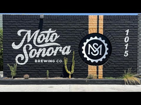 The most dog-friendly brewery I have ever seen! Moto Sonora Brewing Co. Tucson, Arizona