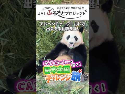 【和歌山】アドベンチャーワールドで出会える動物5選