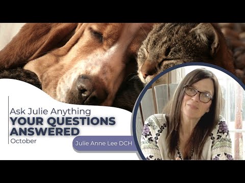 Ask Julie Anything October - Adored Beast Apothecary - Allergies, Supplements, and Support for Pets