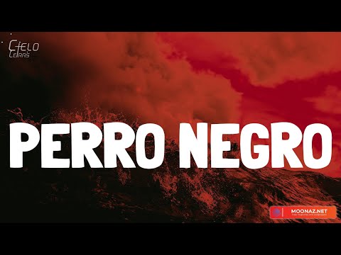 Bad Bunny - PERRO NEGRO (Lyrics/Letra)