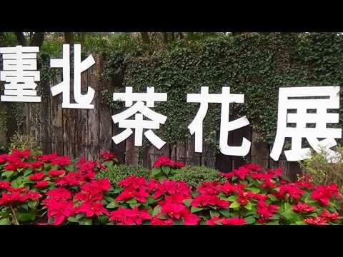 2018台北茶花展   國色天香