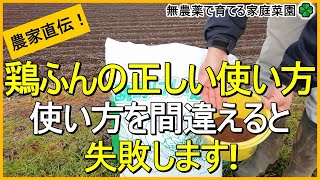 【鶏ふんの使い方】知らなきゃ損！基礎～注意点・実際の使い方まで徹底解説！【有機農家直伝！無農薬で育てる家庭菜園】　23/1/19