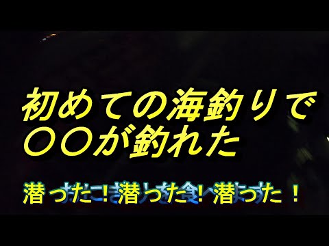 【過去動画】初めての海釣りで〇〇が釣れた