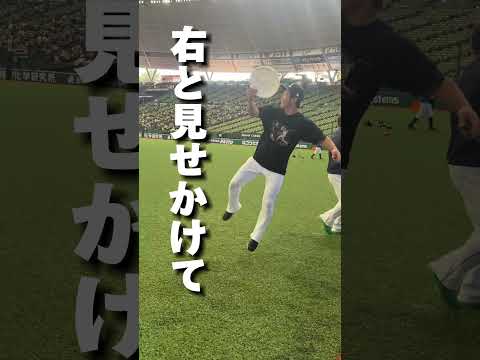 【フリスビー投げも映像映え！？】外崎修汰選手はフリスビーもうまい！