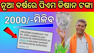 pm kisan 19th installment date/pm kisan 19th installment date 2024 odia news