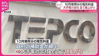 【10月使用分の電気料金】大手電力会社全てで値上がり  政府補助金の縮小で