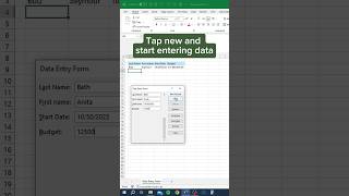 Data Entry Form in Excel‼️ #excel