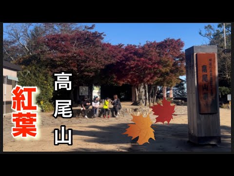 【高尾山•紅葉】11/23  紅葉の季節。6号路からフルバージョン。1号路から薬王院〜山頂へ。