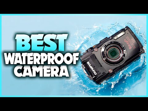 Best Waterproof Cameras 2022 - Top 7 Best Waterproof Camera For Underwater Photography