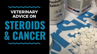 Veterinary Advice on Steroids and Cancer: VLOG 79