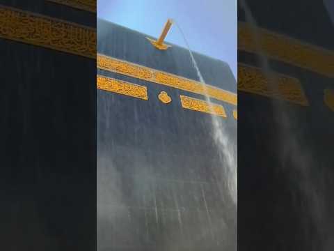 Most beautiful reaction of Makkah #rain #youtubeshorts #shortsfeed #islamicvideo #shorts