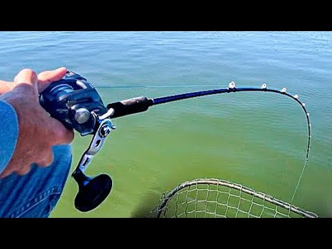 This Beast Pulled Like A Train | Ohio River Catfishing