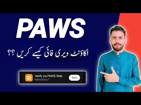 How to Verify Paws Account || PAWS Airdrop Connect Solana Wallet Easy Method