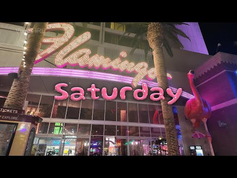 Flamingo Las Vegas hotel casino Saturday