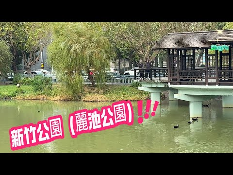 新竹微旅行:絕佳選擇，擁有最美麗且多樣化的旅遊景點:新竹公園（麗池公園）,新竹動物園,十八尖山,再到美食及充滿文化氣息的城隍廟.在這裡都能找到適合的活動和景點。@SINGFU