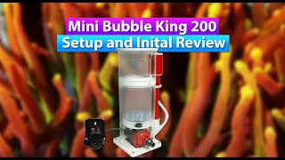 Mini Bubble King 200 - Setup & initial Review - Royal Exclusiv Protein Skimmer