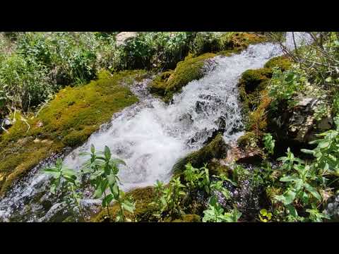 Mossy Waterfall in the mountains of Uzbekistan