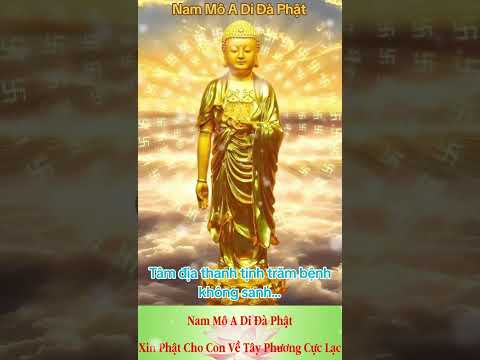 Tâm địa thanh tịnh trăm bệnh không sanh #adidaphat