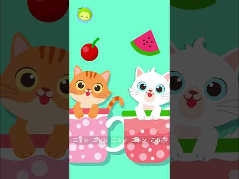 こねこソング | どうぶつのうた | 子供向け | まめきゅん