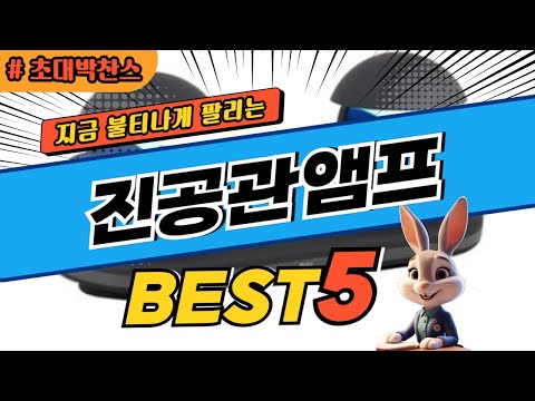 2024 초대박 찬스 진공관앰프 추천 대박 가성비 베스트5! 후기 비교