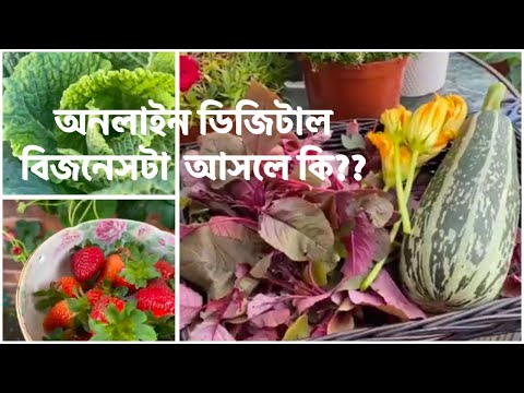 অনলাইন ডিজিটাল বিজনেস টা কি? সাবান, শ্যাম্পু বিক্রি না করে কি কাজ করতে হয়?