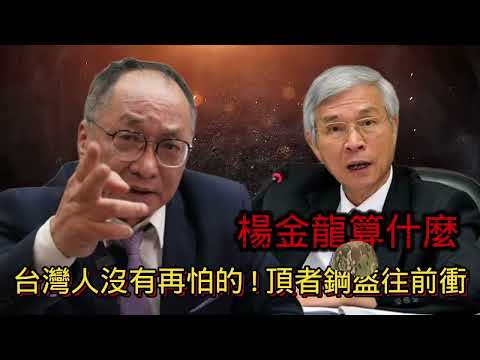 11/29號 晚上 10:00 直播 「楊金龍算什麼,台灣人沒有再怕的,頂者鋼盔往前衝」回答觀眾問題