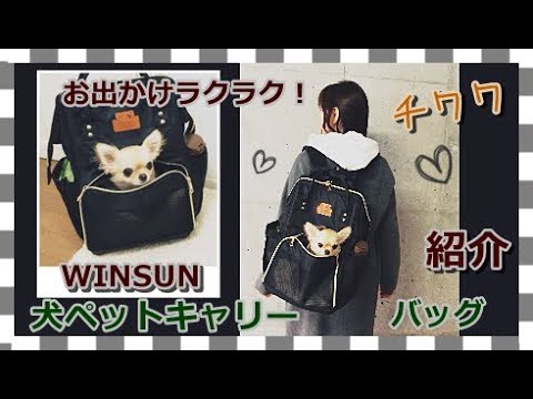 お出かけラクラク👟犬🐶ペットキャリーバッグ🎒WINSUN　紹介💕チワワ～Dog carry bag🌟Back pack　Chihuahua