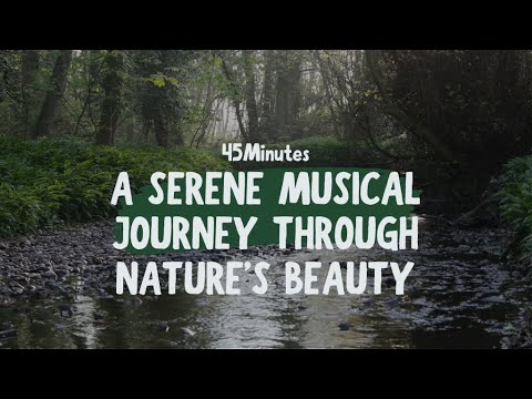 Nature's Symphony, Relaxing Piano Music, and Ambient Sounds for Relaxation, Sleep, and Serenity