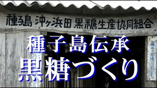 種子島伝承「黒糖づくり」・種子島黒糖生産協同組合・西之表市伊関沖ヶ浜田　R6 11 28