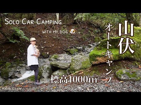 【50代女子ソロキャンプ】標高1000m 雨の山伏オートキャンプ｜Solo Car camping with my dog. Vlog［27］