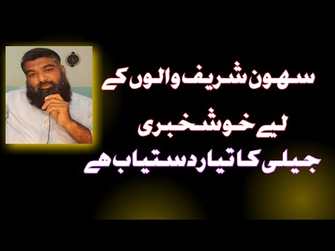 sahwan sharif  ke lie good news // Small business tips // Kashif javeed //