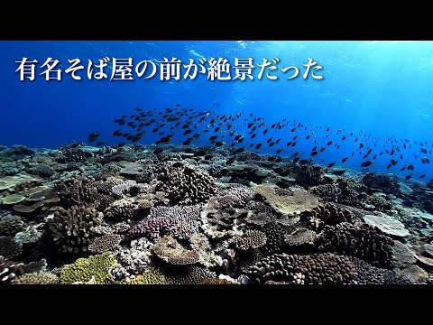 実は穴場シュノーケリングスポット。恩納村（沖縄本島）の「なかむらそば」の前の海は絶景なんです。