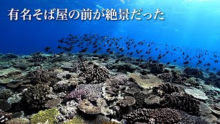 実は穴場シュノーケリングスポット。恩納村（沖縄本島）の「なかむらそば」の前の海は絶景なんです。