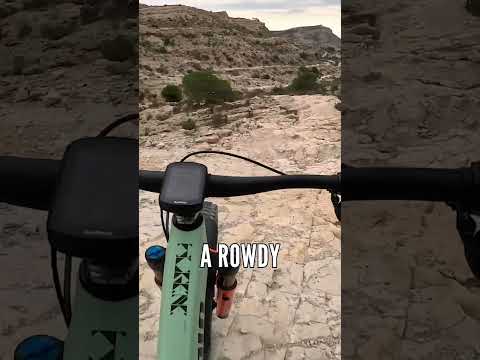 Are Trail Bikes The Best For Rowdy Rocky Trails? 🤔🚲