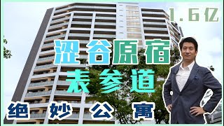 东京被涩谷・表参道・原宿环绕的70平米绝妙好公寓，还不到1.6亿！生活便利，激情有趣，品味高尚，还能去明治神宫享天然氧吧｜日本看房｜日本买房｜东京公寓