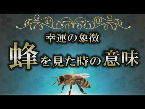 【サイン】蜂は何かを伝えたくて現れる｜種類・場面別に蜂からのメッセージを解説【bee】