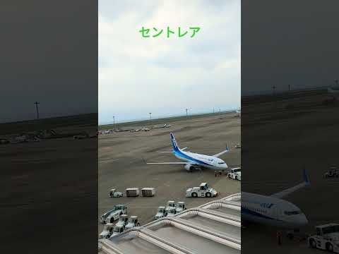 中部国際空港(セントレア)国内線#中部国際空港#セントレア