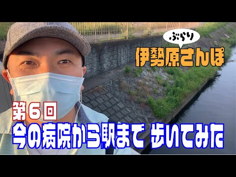 伊勢原さんぽ 第6回