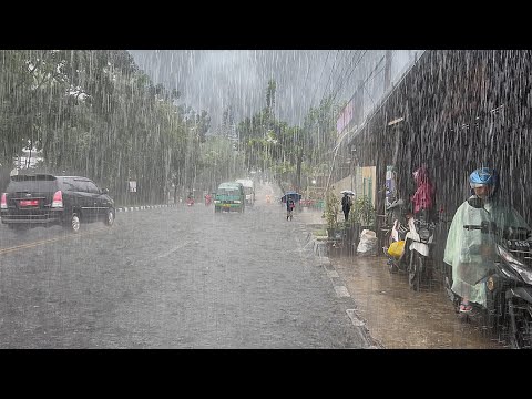 Super Heavy Rain and Thunderstorm in my village, fell asleep instantly with the sound of heavy rain