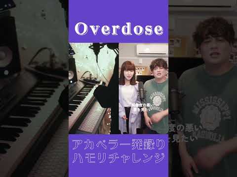 【アカペラ一発録りチャレンジ】 Overdose歌ってみた【4sh Cover】 #shorts