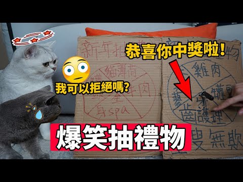 爆笑的春節抽禮物特輯！貓：萬萬沒想到，我可以拒絕嗎？